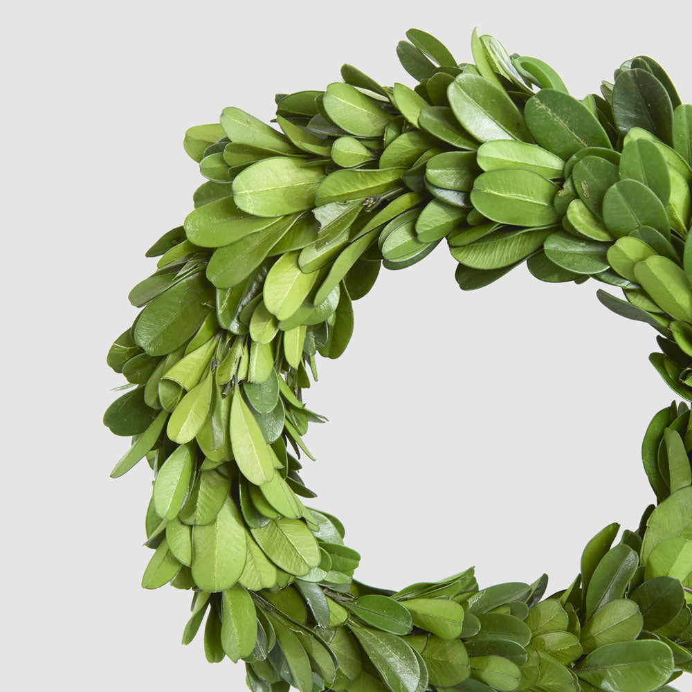 Preserved Boxwood Mini Wreath