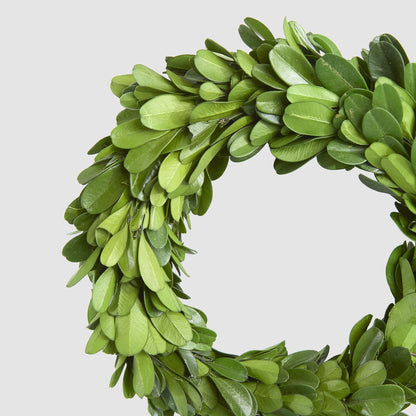 Preserved Boxwood Mini Wreath