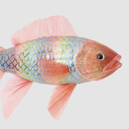 Rainbow Fish Decoration