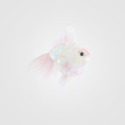 Shelley Fish Decoration