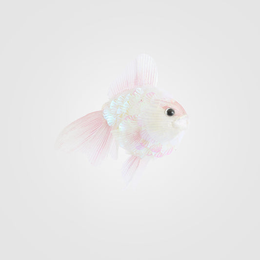 Shelley Fish Decoration