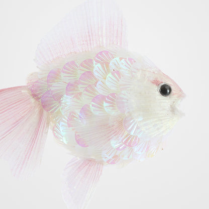 Shelley Fish Decoration