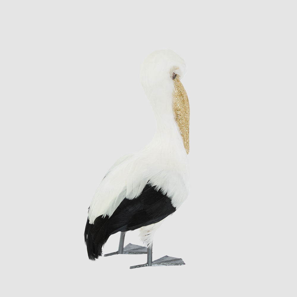 Perry The Little Pelican
