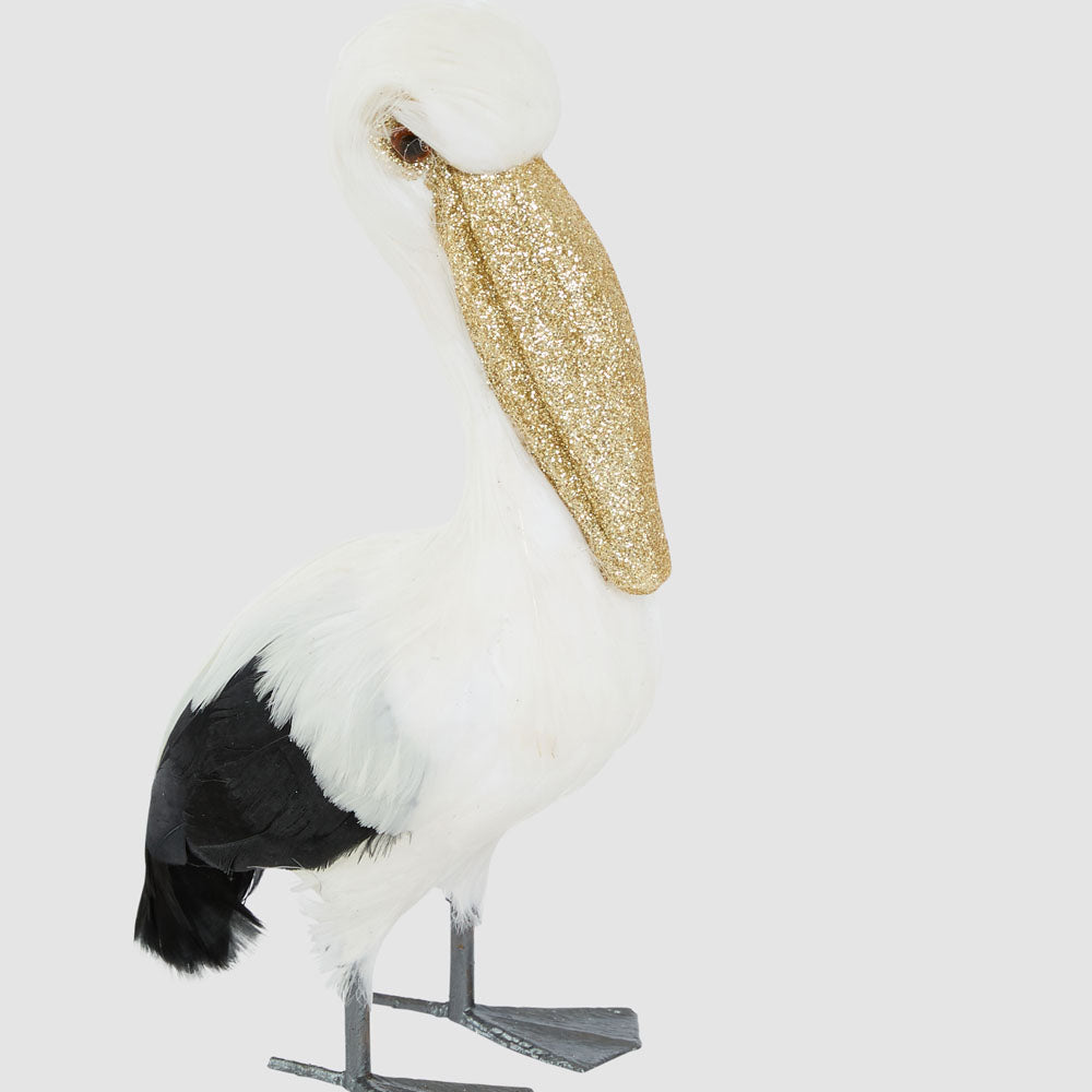 Perry The Little Pelican