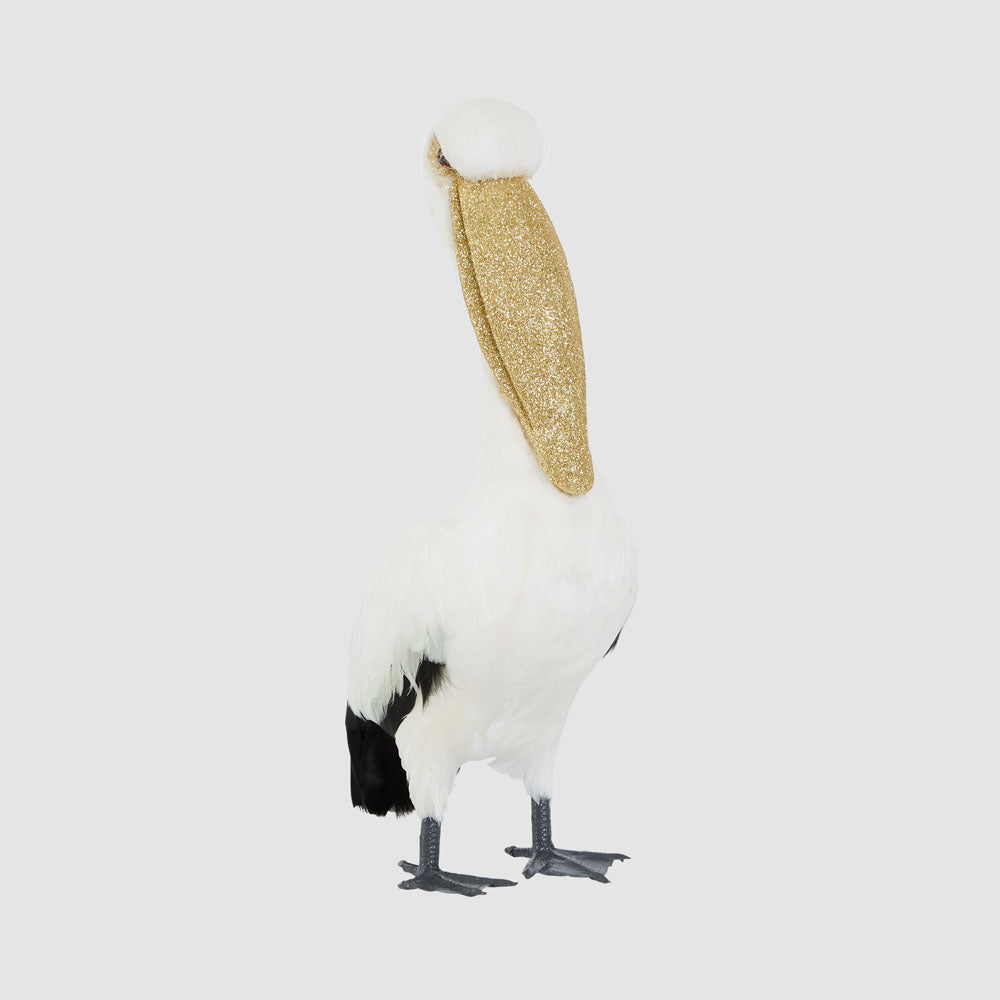 Perry The Pelican