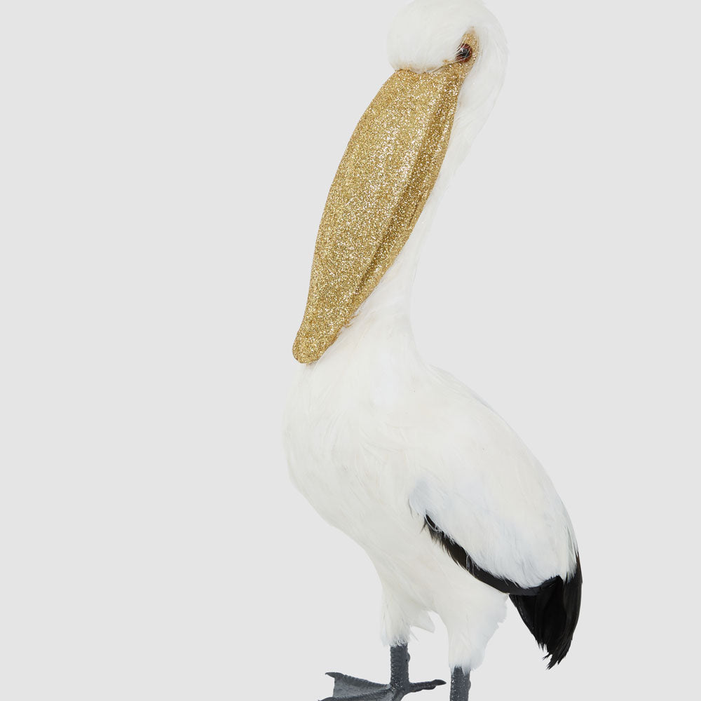 Perry The Pelican