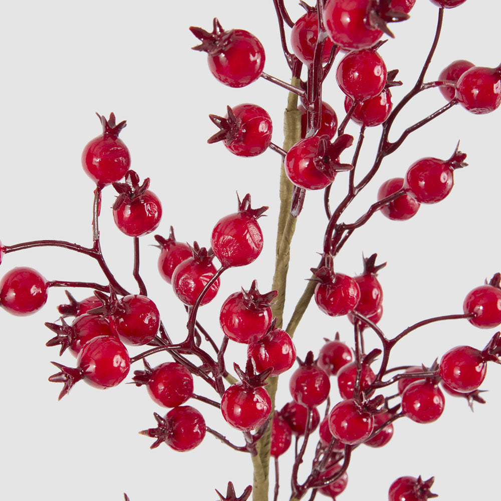Gloss Berry Stem Red