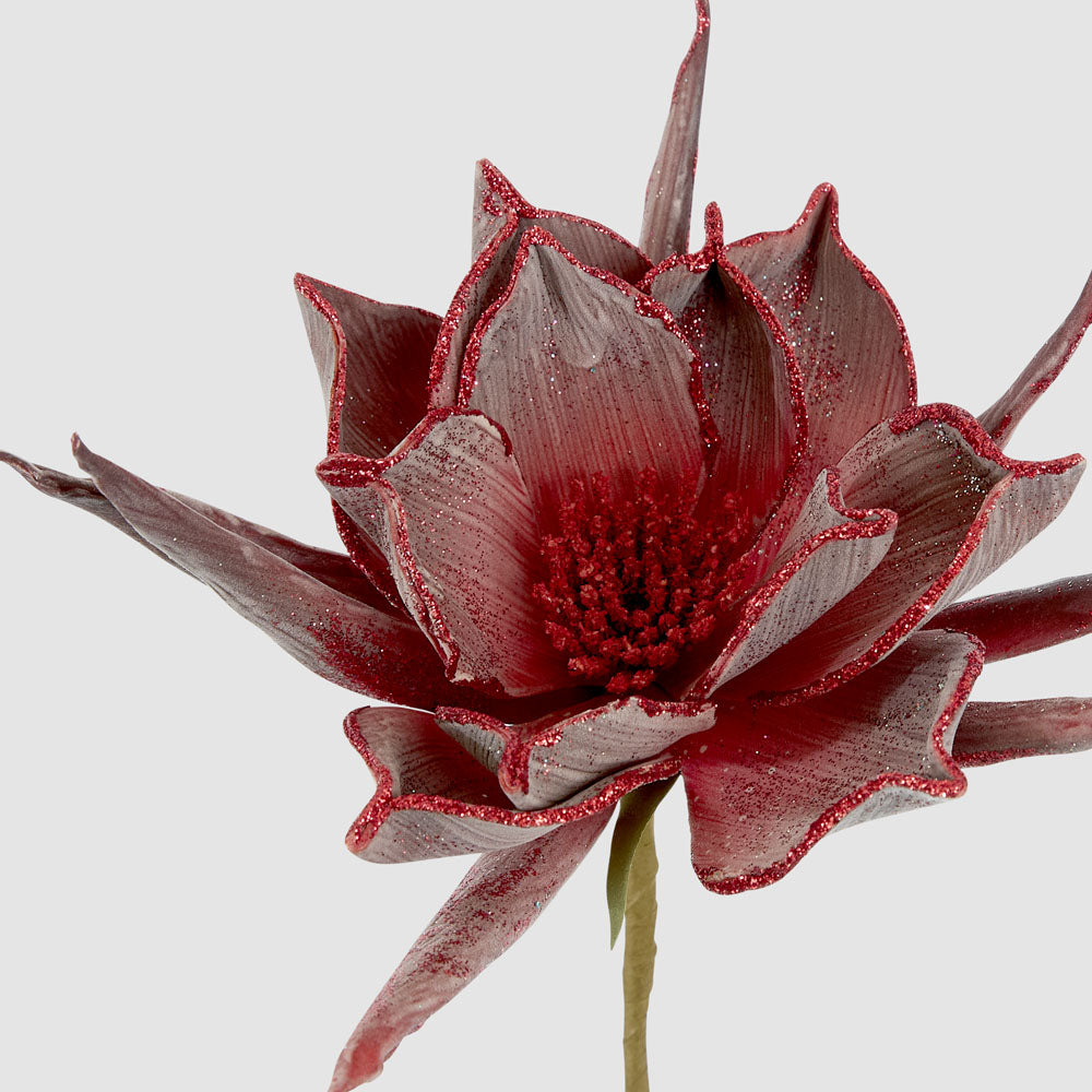 Spike Petal Flower Stem Red