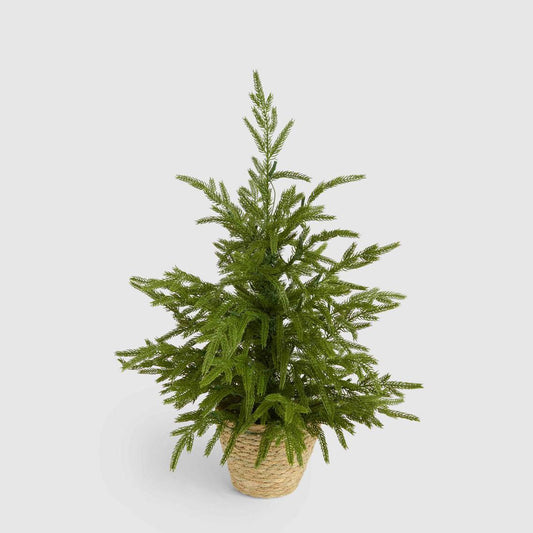 Soft-Touch Potted Light Up Tree with Basket 60cm