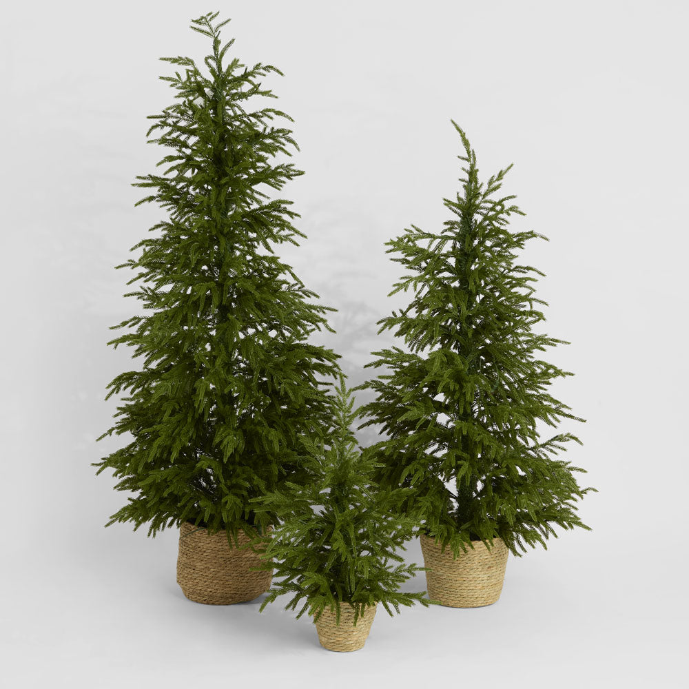 Soft-Touch Potted Light Up Tree with Basket 60cm