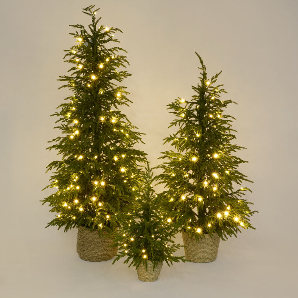 Soft-Touch Potted Light Up Tree with Basket 60cm