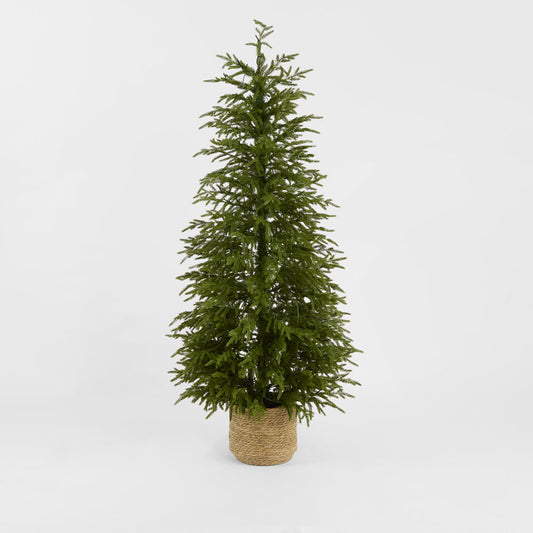 Soft-Touch Potted Light Up Tree with Basket 150cm