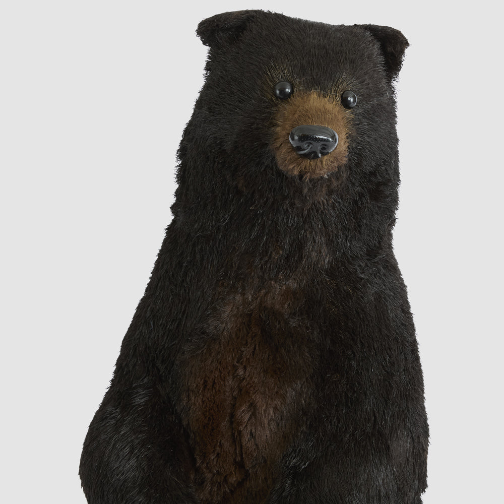 Fudge Bear Large