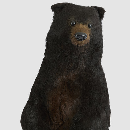Fudge Bear Large