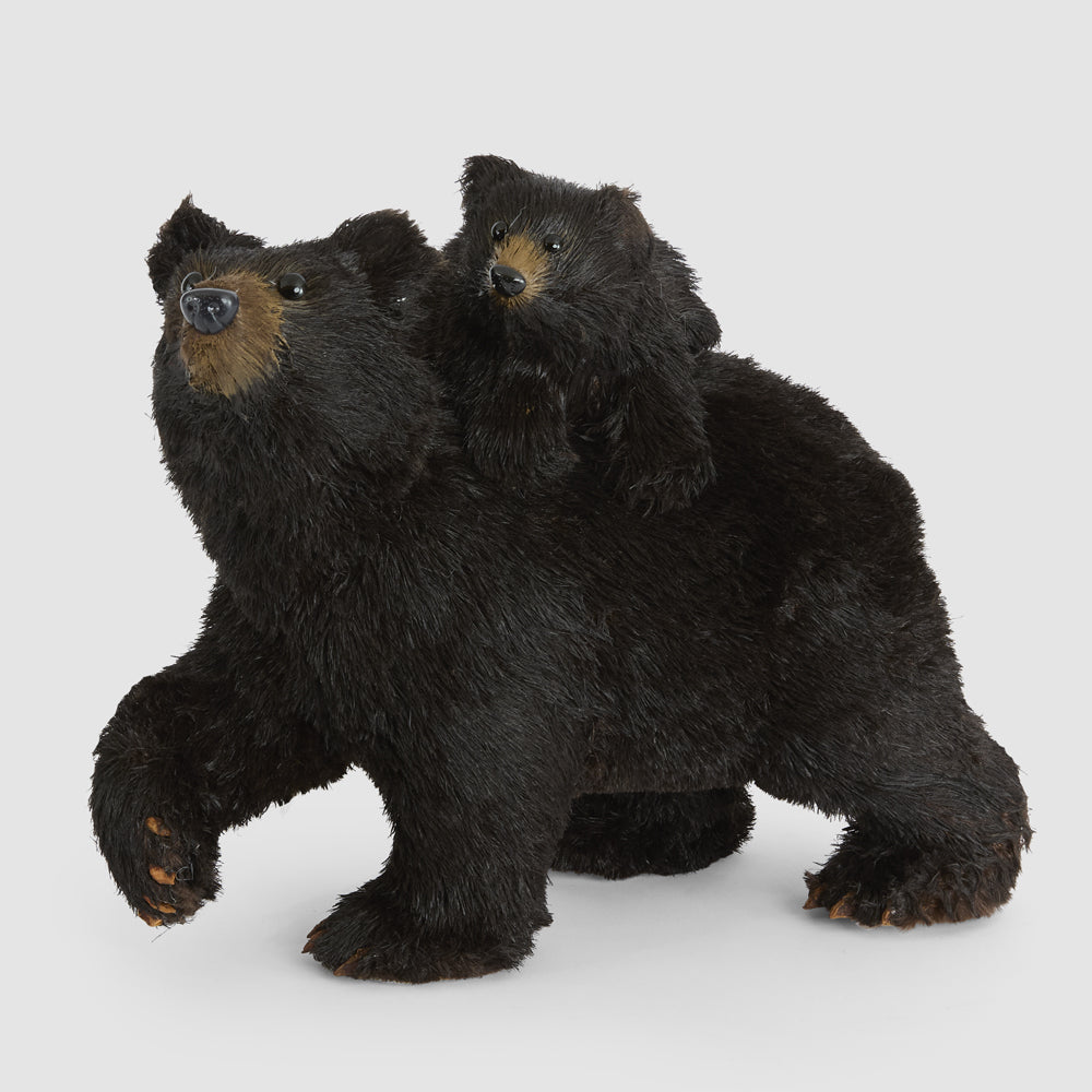 Cocoa Mumma Bear & Cub