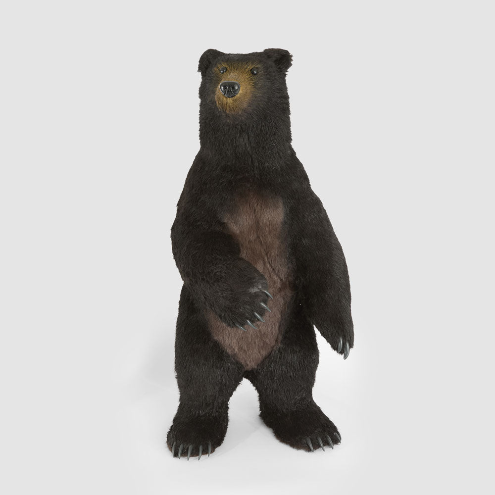 Cocoa Bear Giant