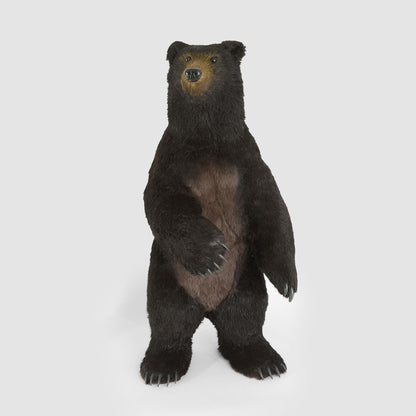 Cocoa Bear Giant