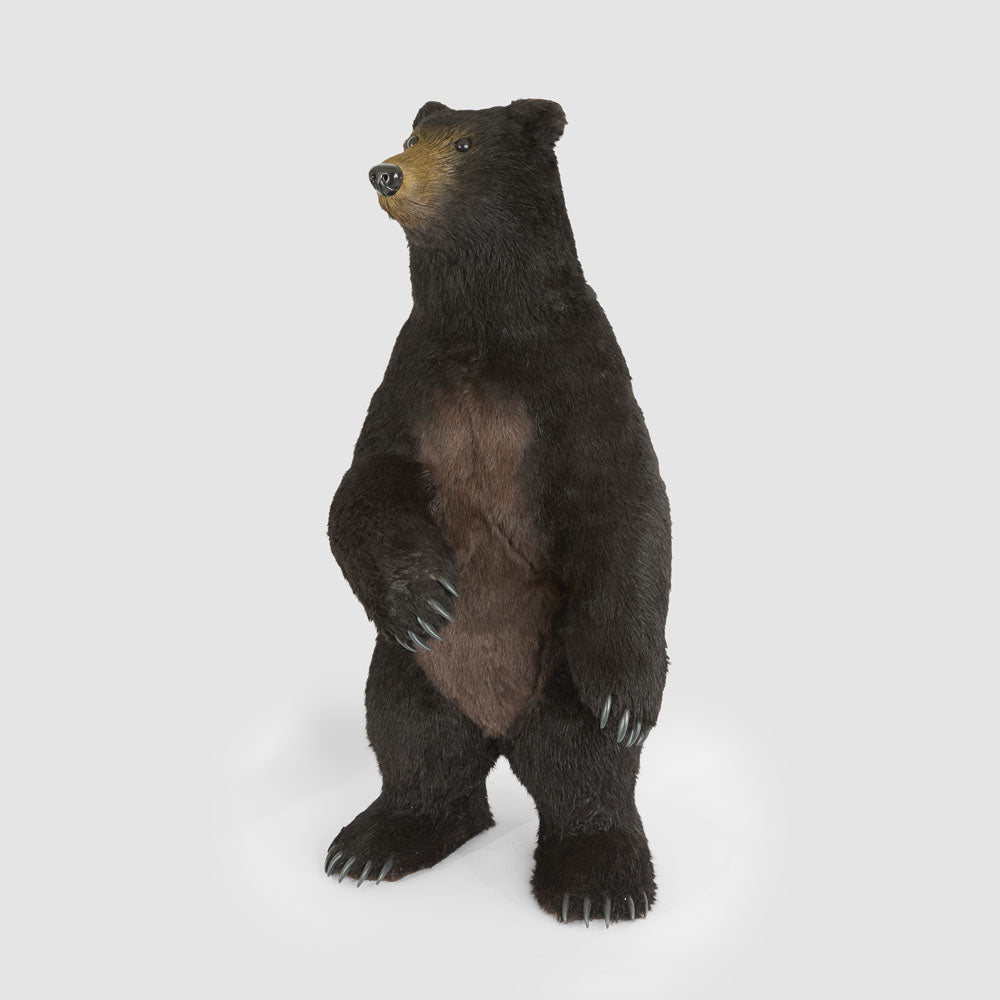 Cocoa Bear Giant