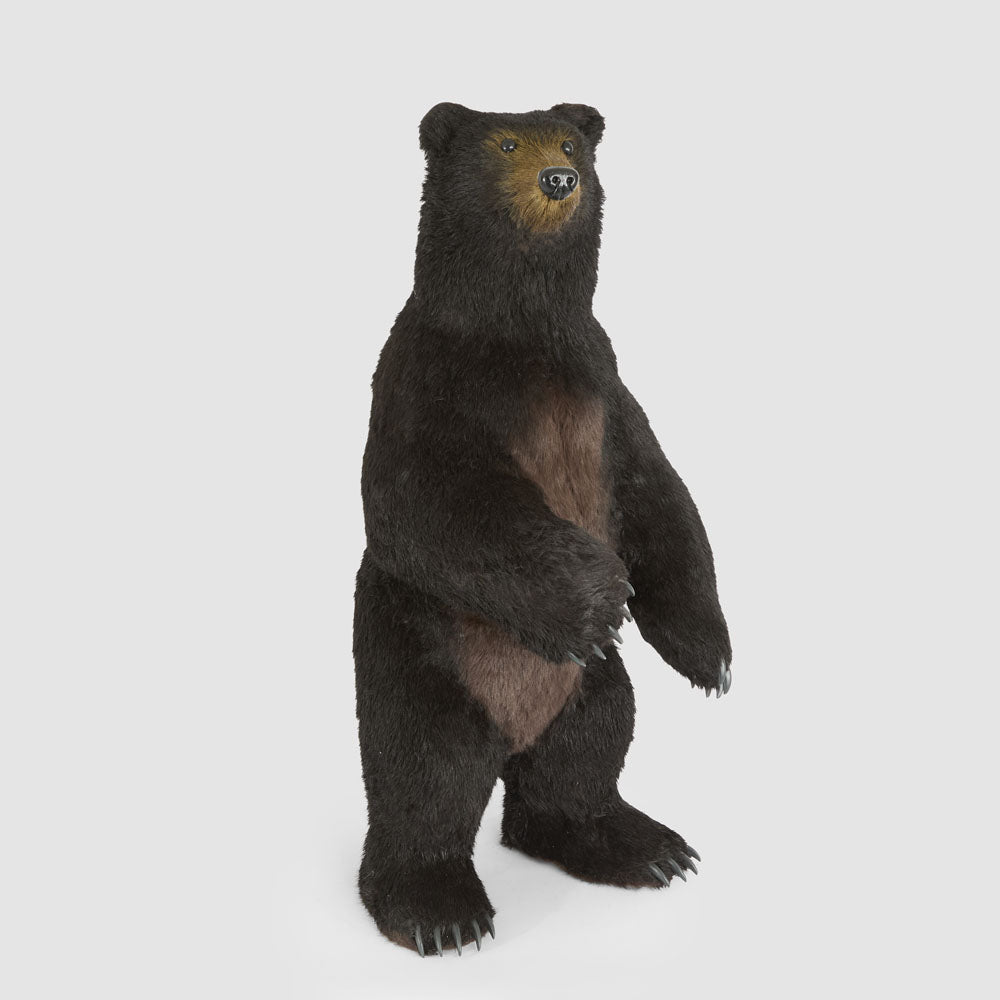 Cocoa Bear Giant