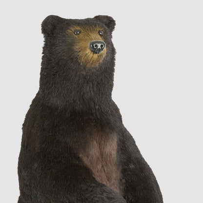 Cocoa Bear Giant