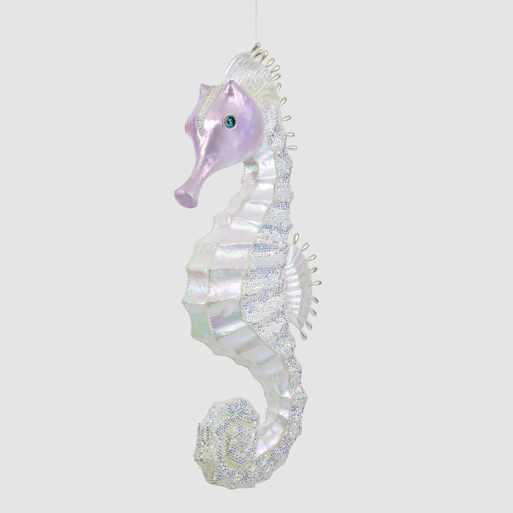 Neptune's Seahorse