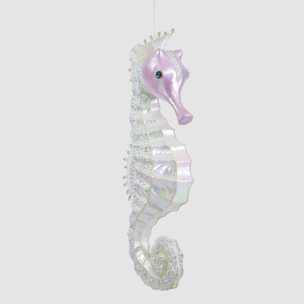 Neptune's Seahorse