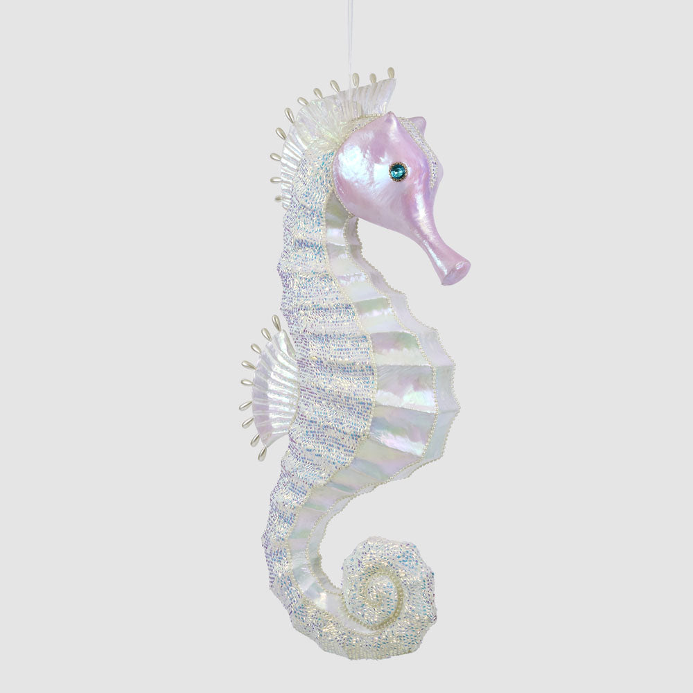Neptune's Seahorse