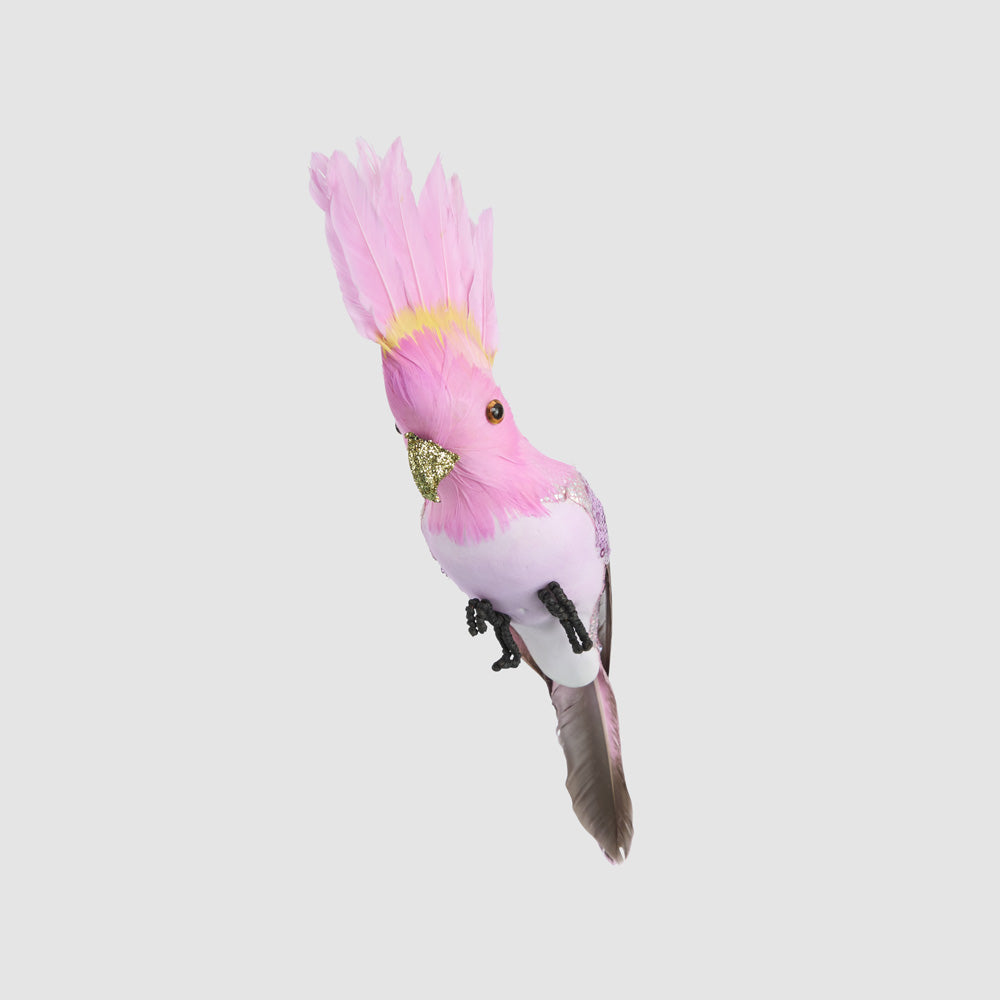 Razzle Crested Bird Pink