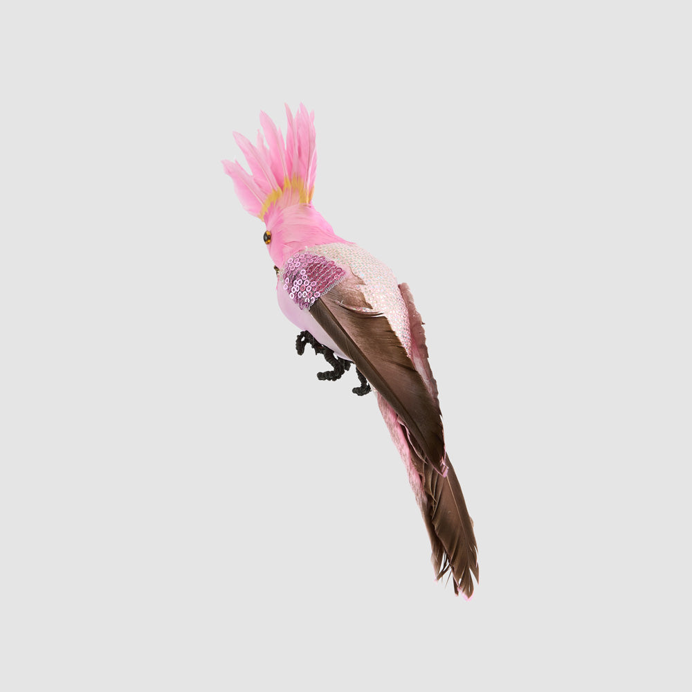 Razzle Crested Bird Pink