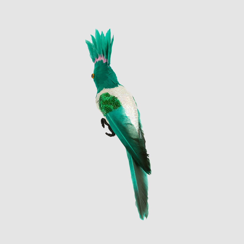 Razzle Crested Bird Green