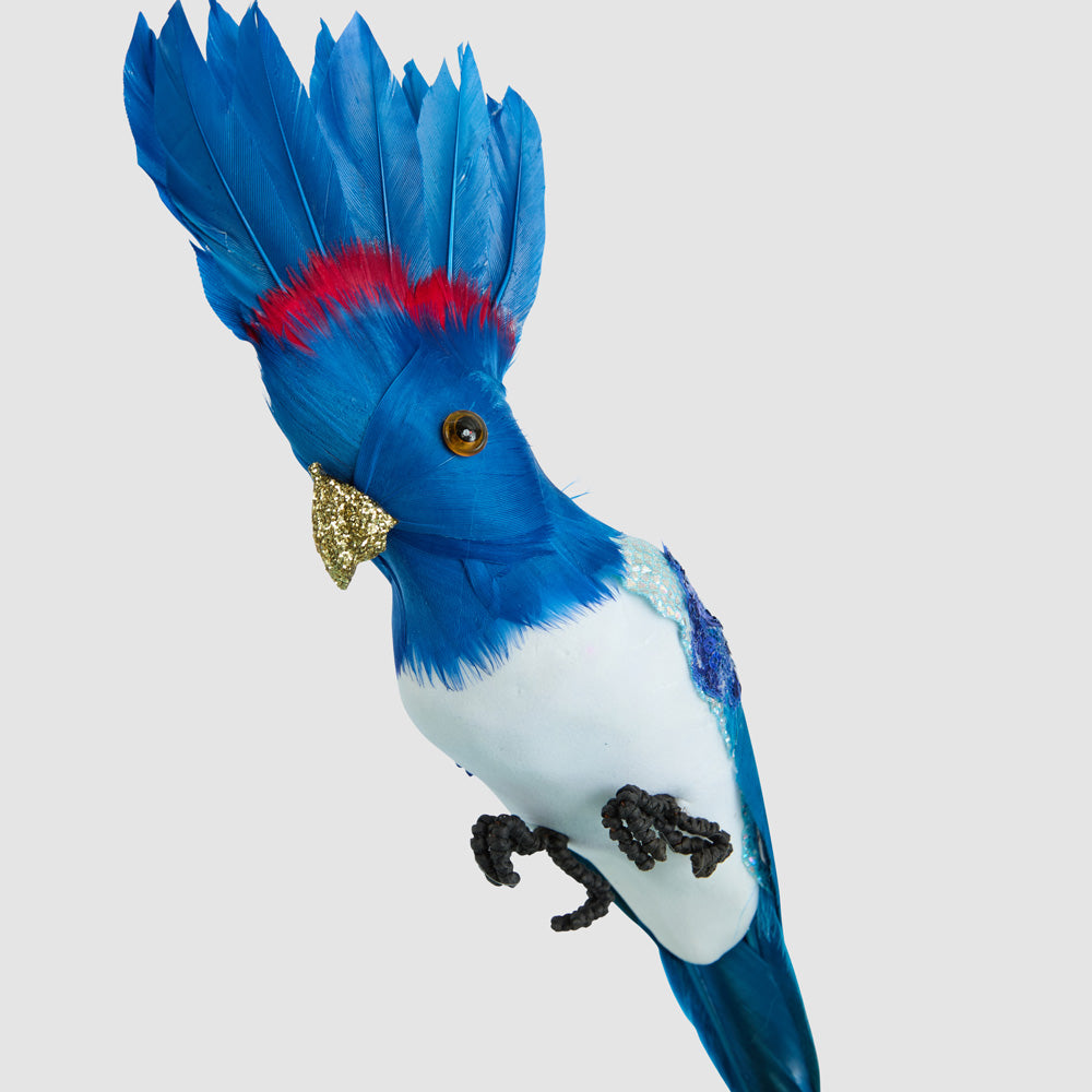 Razzle Crested Bird Blue