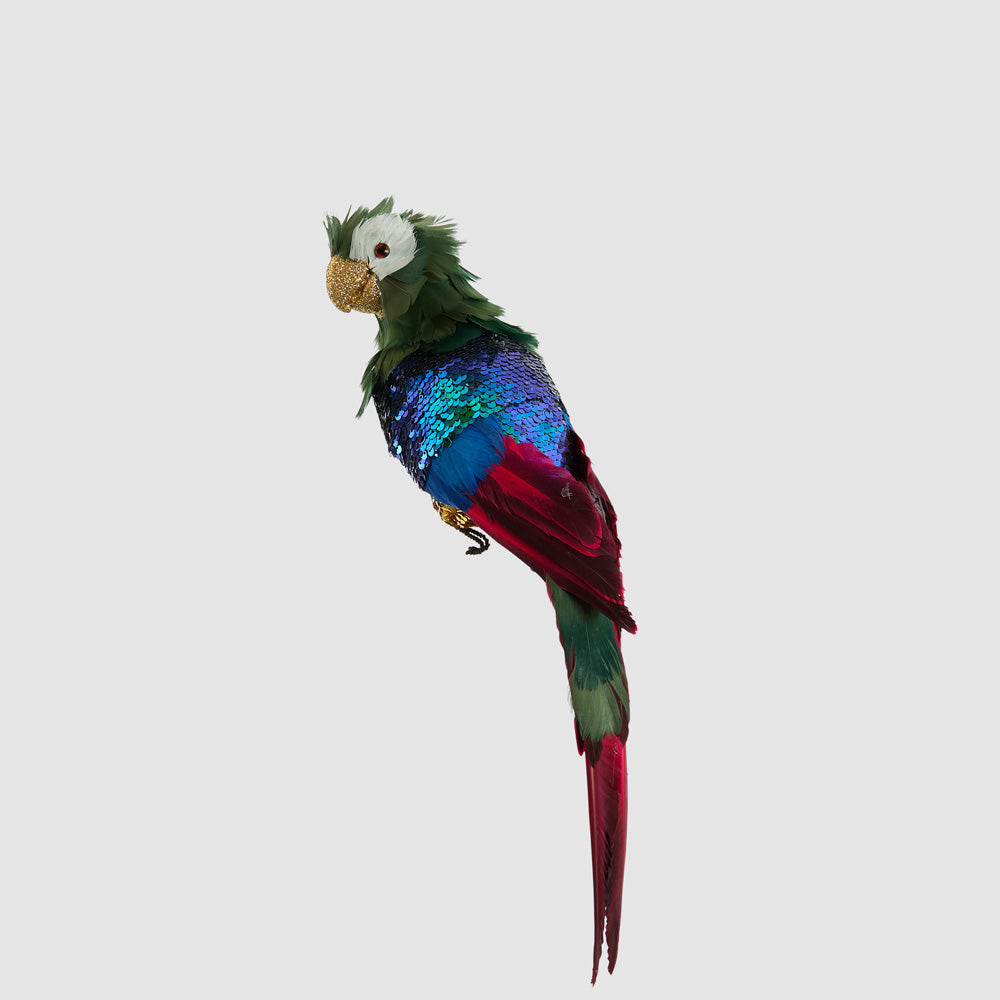 Huffer Parrot Green Crest