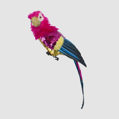 Huffer Parrot Red Crest