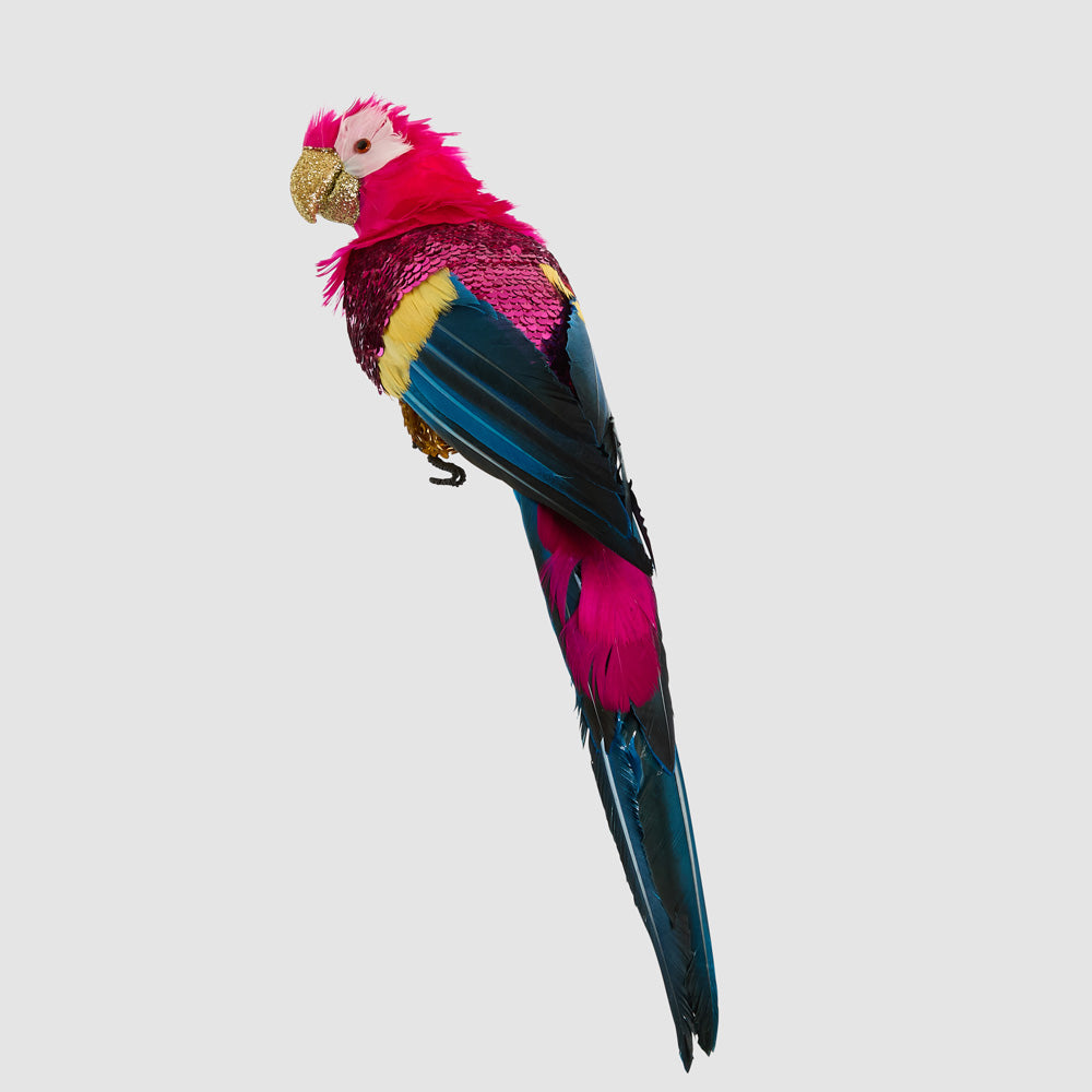 Huffer Parrot Red Crest