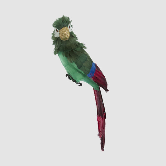 Estofar Parrot Green Crest