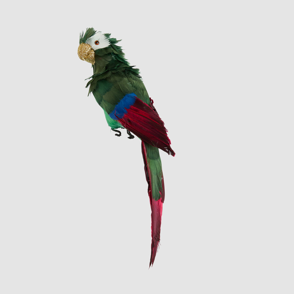 Estofar Parrot Green Crest