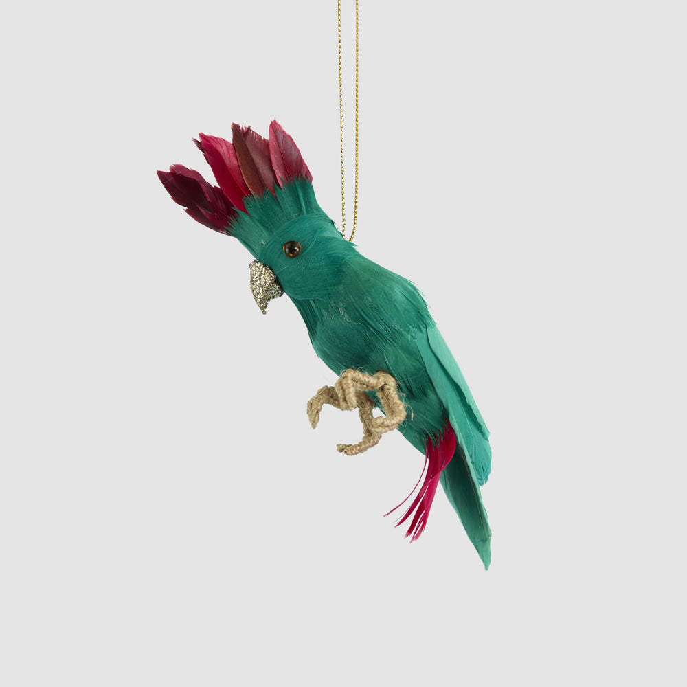 Hector Hanging Galah Green