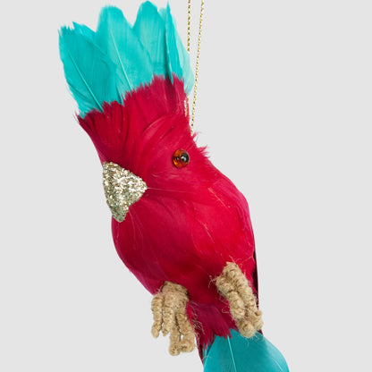 Hector Hanging Galah Red