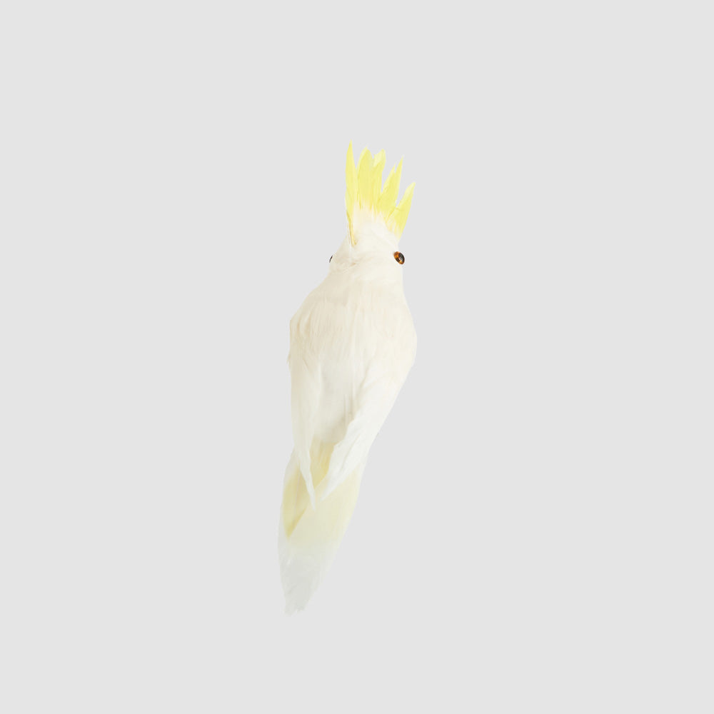 Mini Yellow Crested Cockatoo Hanging Bird