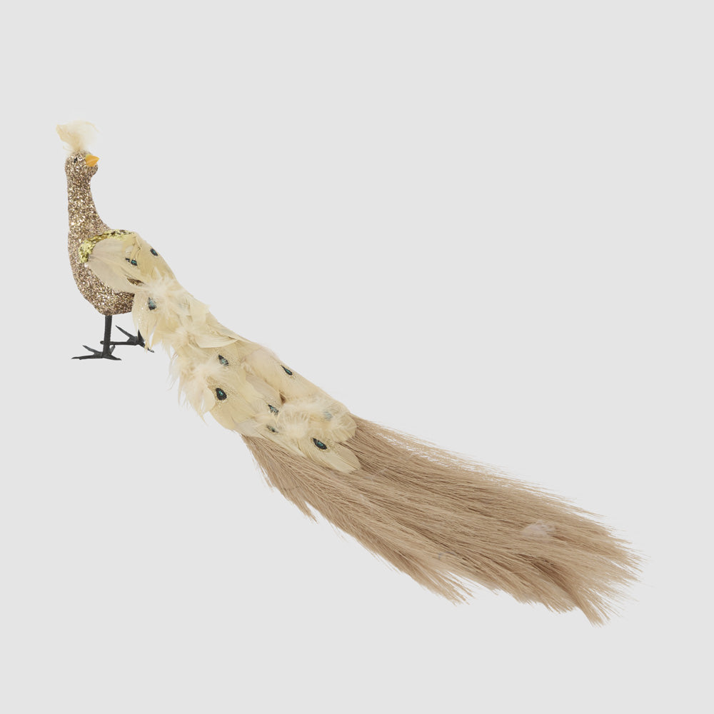 Champagne Peacock