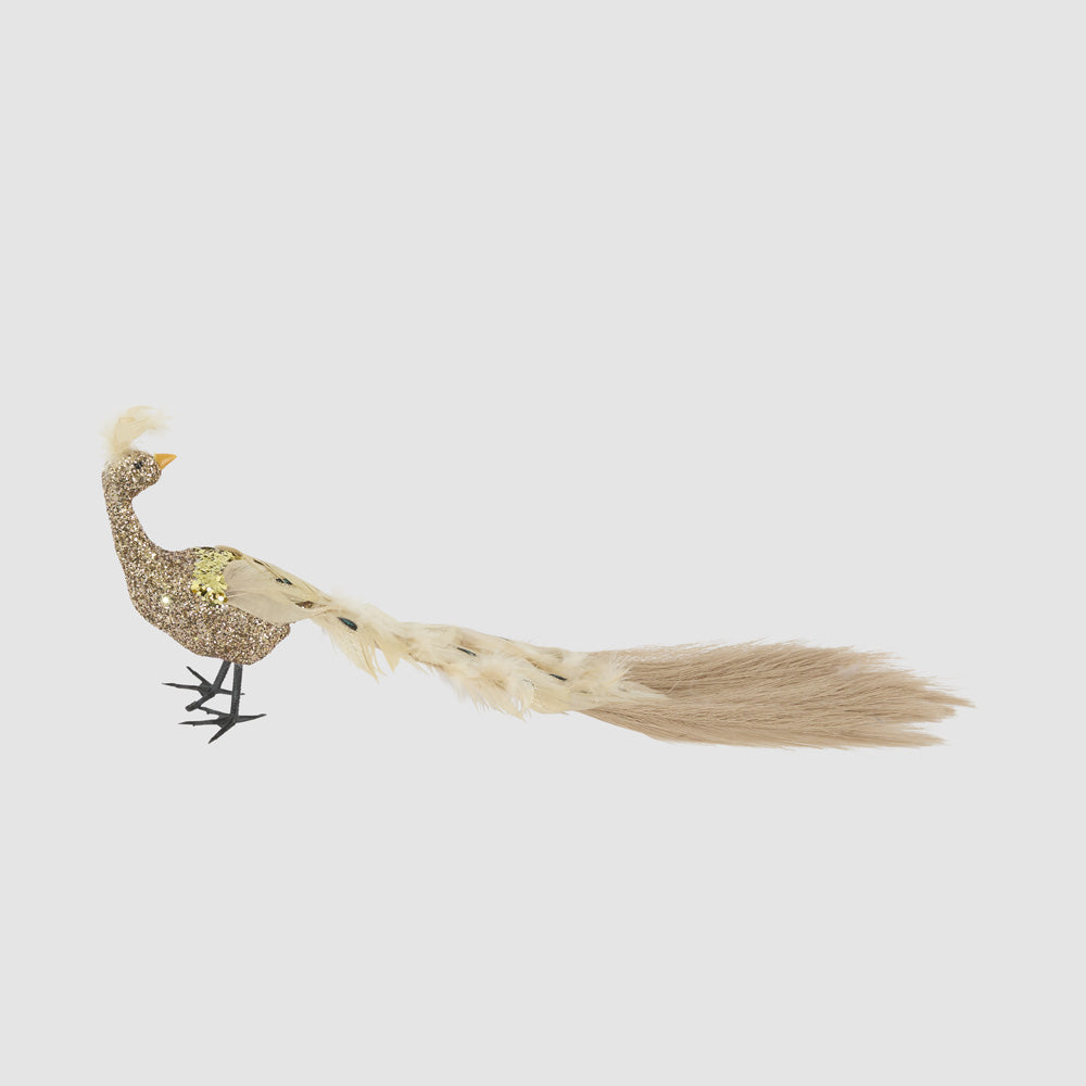 Champagne Peacock