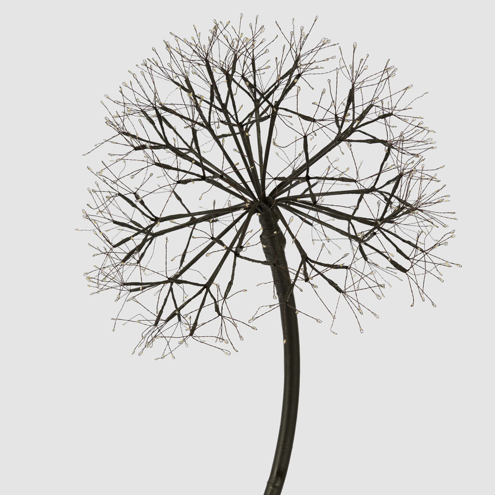 Lumi Light Up Dandelion 150cm with 576 LED Warm White Lights