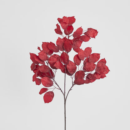 Luxe Rouge Eucalyptus Stem 90cm